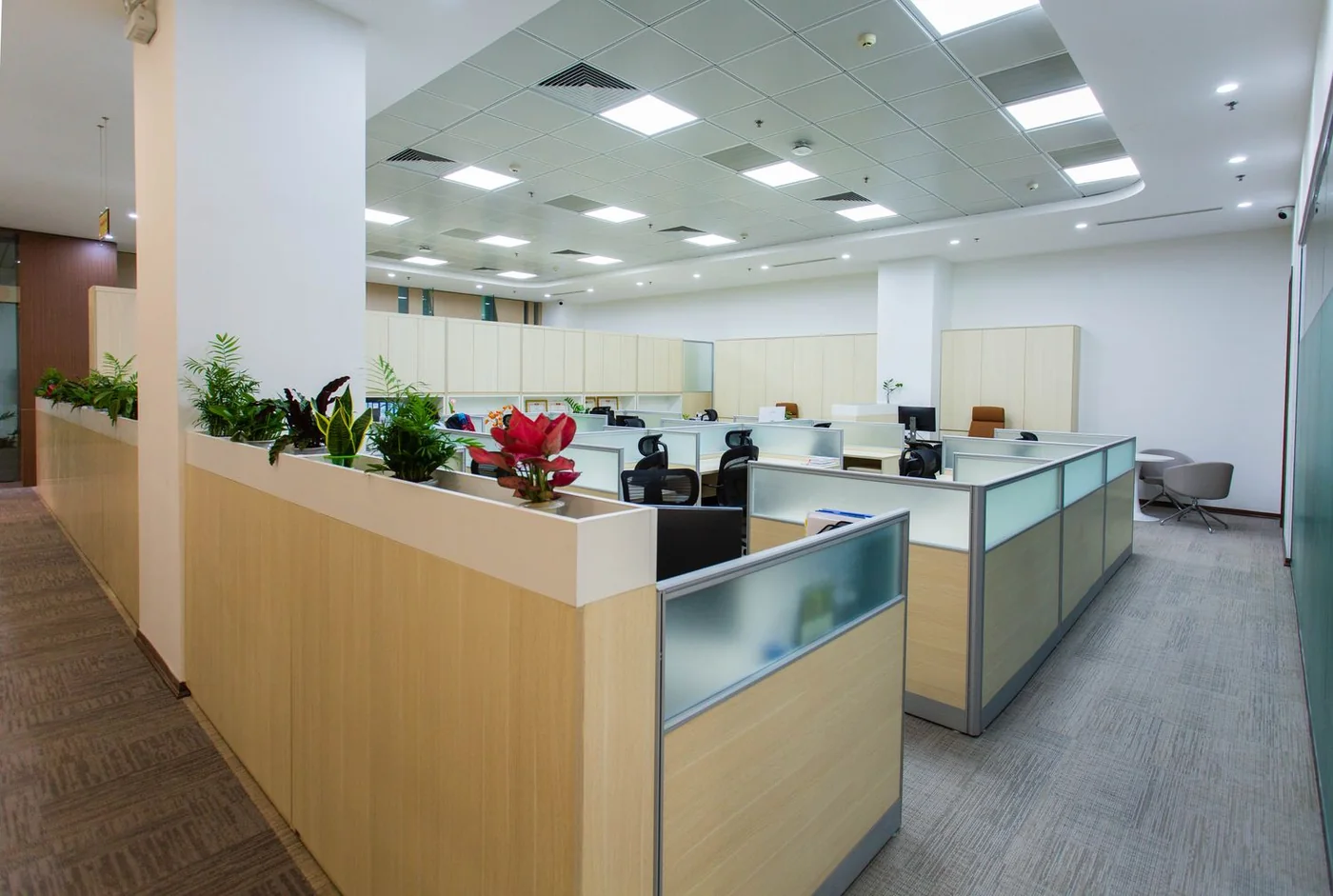 Líneas Especializadas